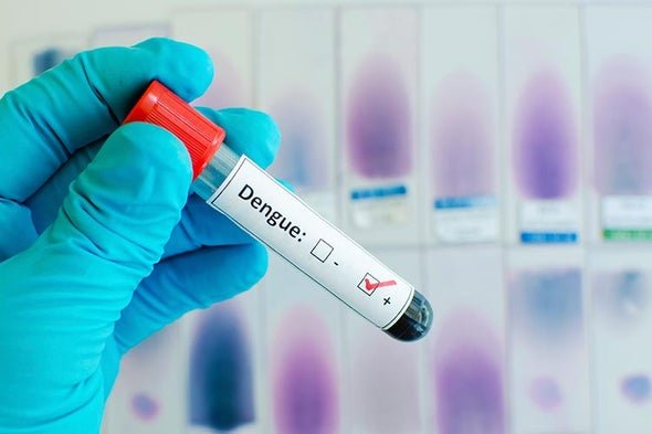 Worldwide Spike in Dengue cases: Underscore Need For Precaution